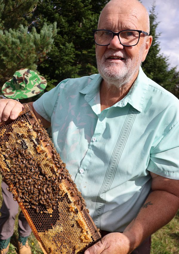 Lee Harvey, owner of<br />
Cormack Bee Company, shows a frame from one of his hives.