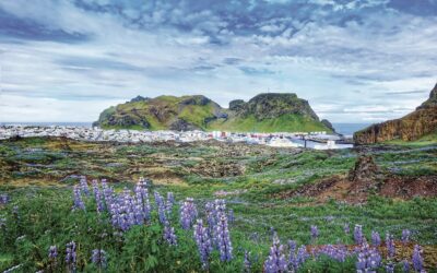 Discount Extended to January 31, 2026: JourneyWoman Announces Iceland Cruise with Aurora Expeditions in June 2026