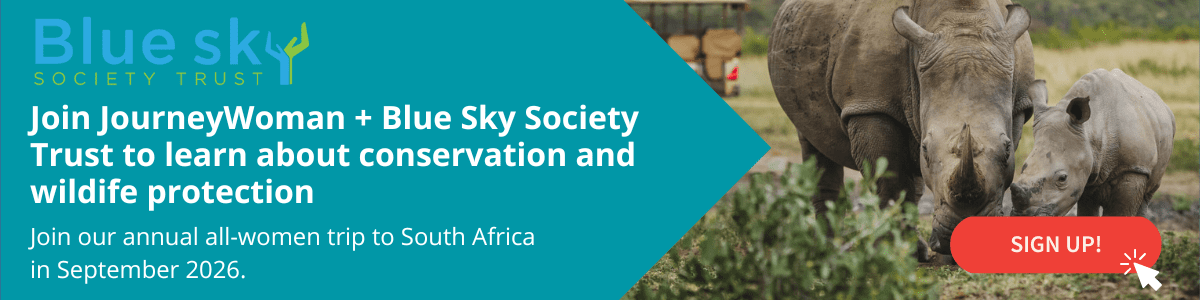 blue sky banner south africa