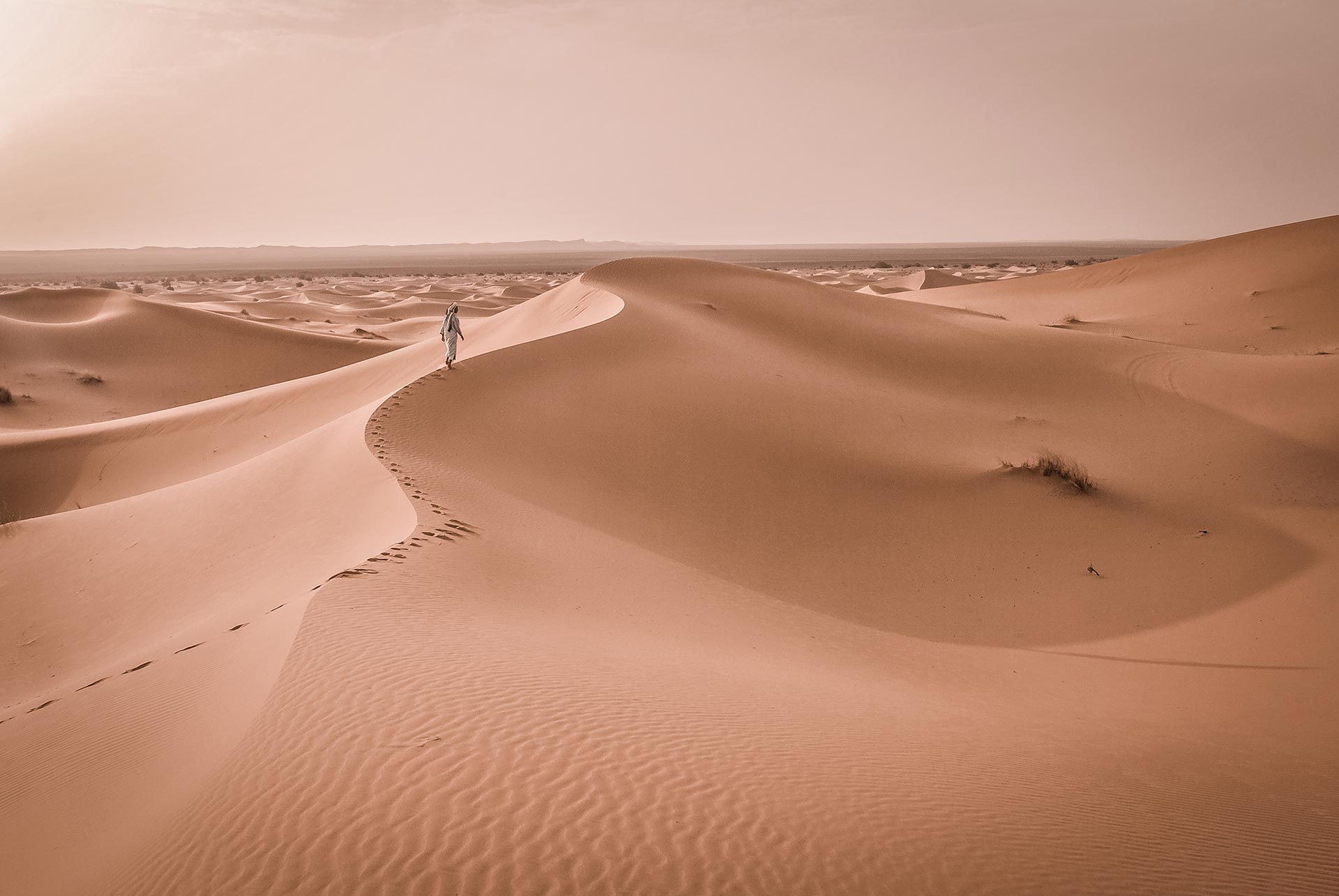 A person walks over a sand dune in the Sahara Desert